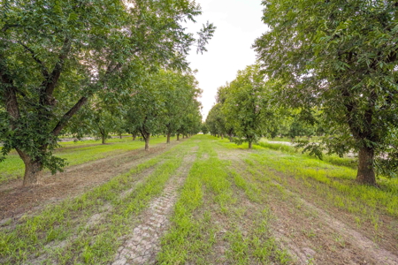 Luxury Estate for Sale in Mesilla, New Mexico - image 45
