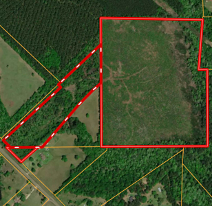 80 Acres in Kirbyville Texas! - Land with timber and creek access - image 1