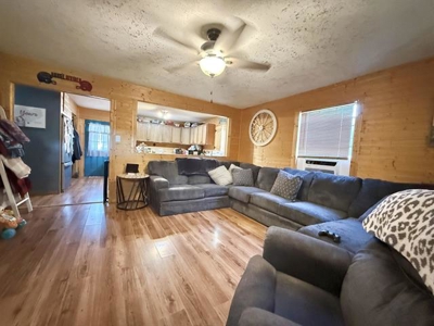 Very Well Maintained Home For Sale Newport AR - image 9