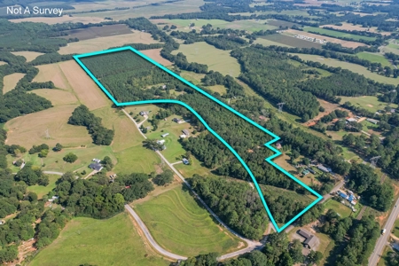 Country Home with Land and Timber for Sale in North Mississippi - image 2