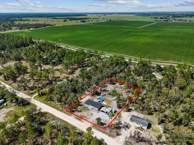 Country Home With Pool Near Gainesville Ocala FL - image 3