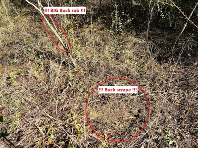 Prime Land For Sale in Byhalia Mississippi - image 11