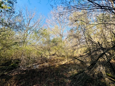 Prime Land For Sale in Byhalia Mississippi - image 10