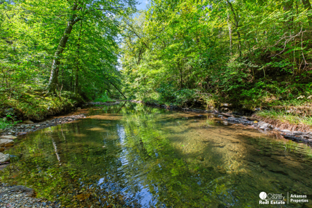 Log Home for Sale in Arkansas – Shady, AR - image 39