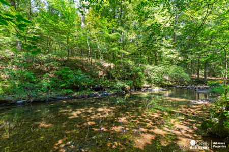 Log Home for Sale in Arkansas – Shady, AR - image 37