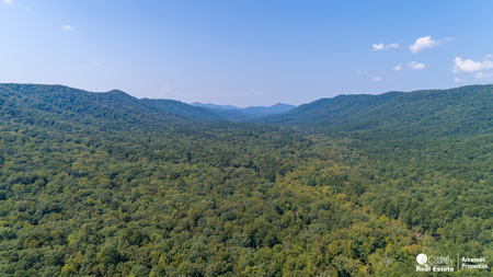 Log Home for Sale in Arkansas – Shady, AR - image 44