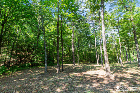 Log Home for Sale in Arkansas – Shady, AR - image 32