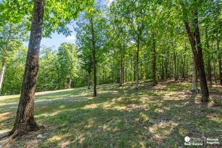 Log Home for Sale in Arkansas – Shady, AR - image 33