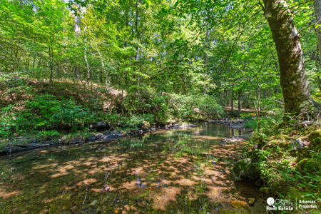 Log Home for Sale in Arkansas – Shady, AR - image 36