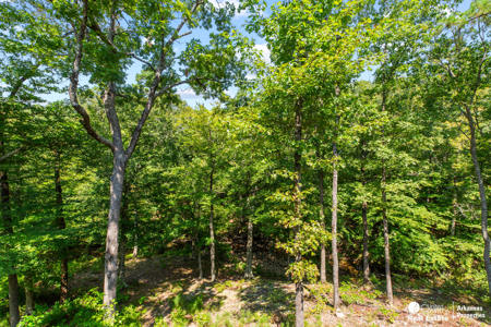 Log Home for Sale in Arkansas – Shady, AR - image 22