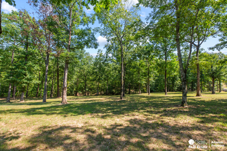 Log Home for Sale in Arkansas – Shady, AR - image 30