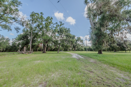 10 Acres, fort White Florida, Spring and River Country - image 1