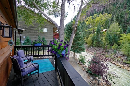 Mountain View Townhome for Sale in Ouray, CO - image 27