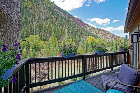 Mountain View Townhome for Sale in Ouray, CO - image 28