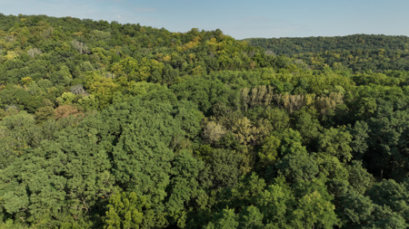 Wisconsin River Cabin for Sale in Richland County, WI – Bordering - image 43
