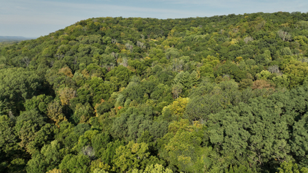 Wisconsin River Cabin for Sale in Richland County, WI – Bordering - image 41