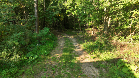 Wisconsin River Cabin for Sale in Richland County, WI – Bordering - image 34
