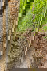 Private Retreat on 3.67 Wooded Acres in Perry County, Tennessee - image 5