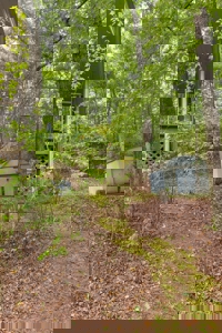 Private Retreat on 3.67 Wooded Acres in Perry County, Tennessee - image 8