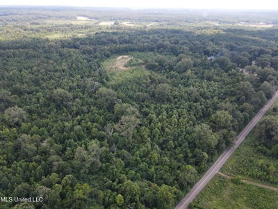 88 Acres for Sale in Hinds County Jackson, MS - image 26