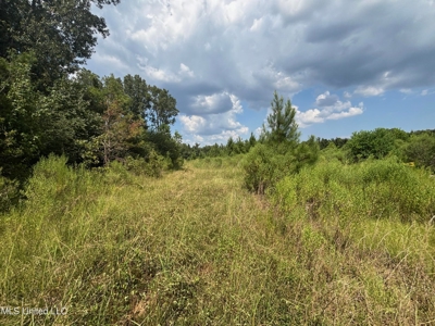 88 Acres for Sale in Hinds County Jackson, MS - image 7