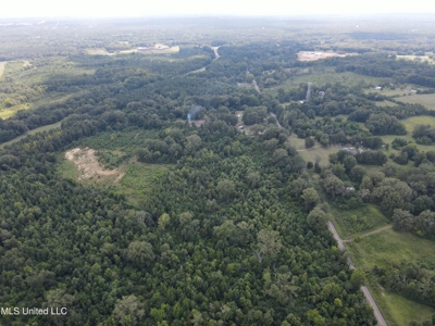 88 Acres for Sale in Hinds County Jackson, MS - image 36