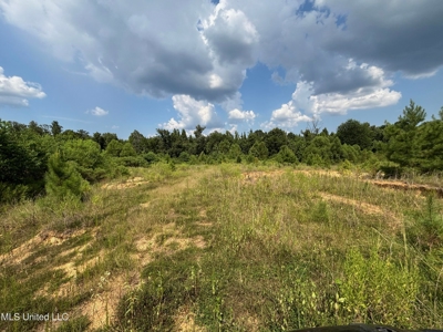 88 Acres for Sale in Hinds County Jackson, MS - image 11