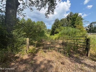 88 Acres for Sale in Hinds County Jackson, MS - image 2