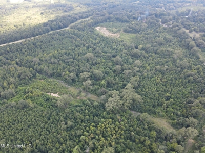 88 Acres for Sale in Hinds County Jackson, MS - image 34