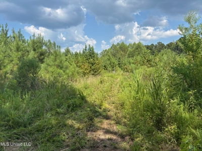 88 Acres for Sale in Hinds County Jackson, MS - image 9