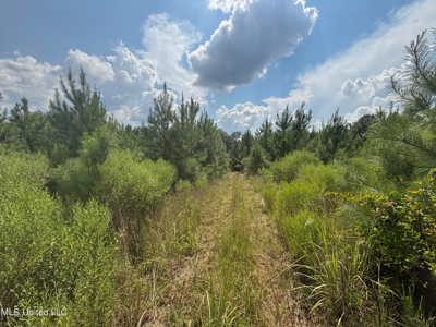 88 Acres for Sale in Hinds County Jackson, MS - image 8