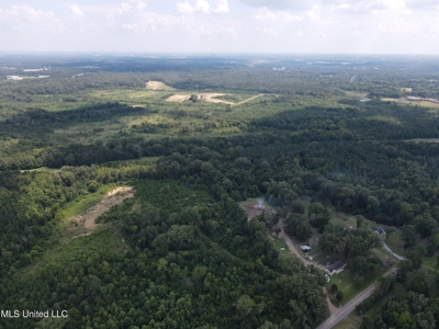 88 Acres for Sale in Hinds County Jackson, MS - image 37