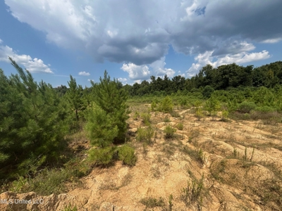88 Acres for Sale in Hinds County Jackson, MS - image 23