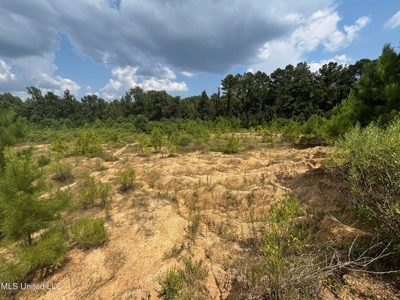 88 Acres for Sale in Hinds County Jackson, MS - image 10