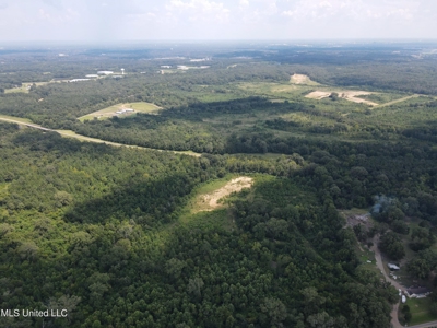 88 Acres for Sale in Hinds County Jackson, MS - image 39