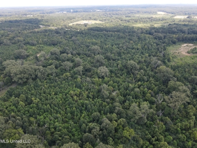 88 Acres for Sale in Hinds County Jackson, MS - image 27