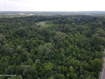 88 Acres for Sale in Hinds County Jackson, MS - image 25