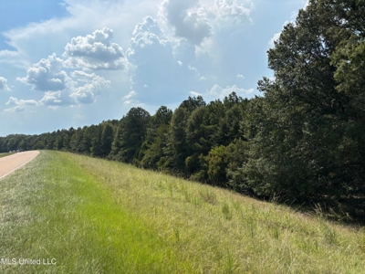88 Acres for Sale in Hinds County Jackson, MS - image 12