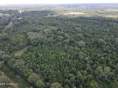 88 Acres for Sale in Hinds County Jackson, MS - image 28