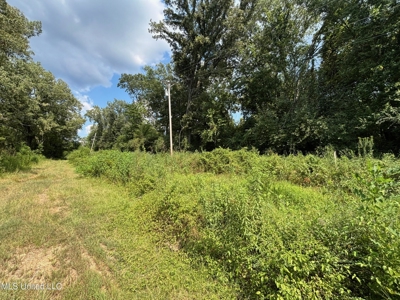 88 Acres for Sale in Hinds County Jackson, MS - image 21