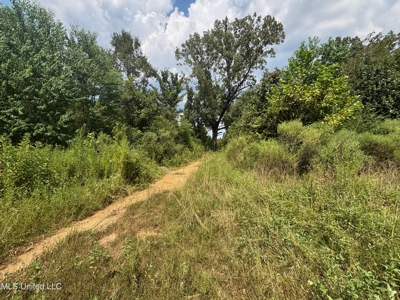 88 Acres for Sale in Hinds County Jackson, MS - image 4