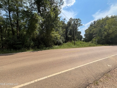 88 Acres for Sale in Hinds County Jackson, MS - image 15