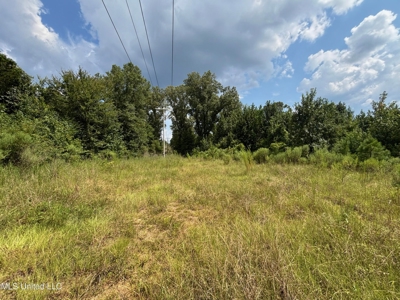 88 Acres for Sale in Hinds County Jackson, MS - image 19
