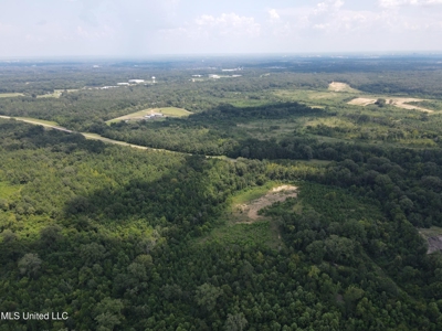 88 Acres for Sale in Hinds County Jackson, MS - image 38