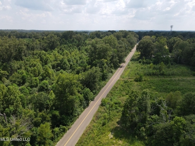 88 Acres for Sale in Hinds County Jackson, MS - image 42