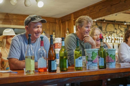 Highland Manor Winery & Sawbriar Brewing for Sale in Jamestown TN - image 34