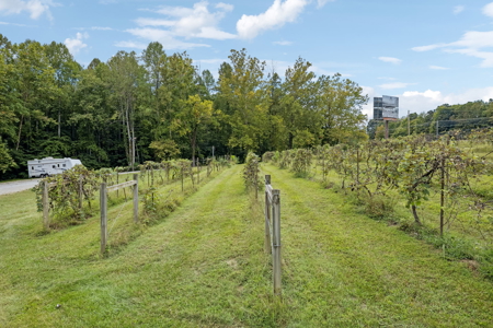Highland Manor Winery & Sawbriar Brewing for Sale in Jamestown TN - image 27