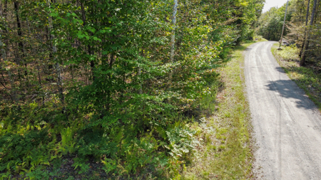Unique 20 Acre Lakefront Parcel on Cold Stream Pond - image 8