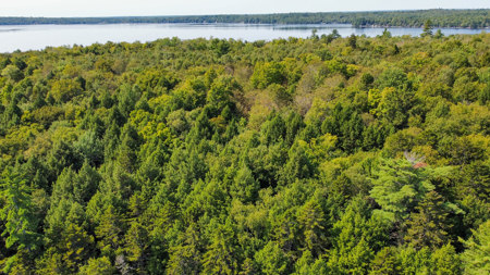 Unique 20 Acre Lakefront Parcel on Cold Stream Pond - image 3