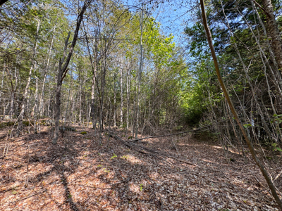 Unique 20 Acre Lakefront Parcel on Cold Stream Pond - image 12